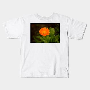 klb poppy Kids T-Shirt